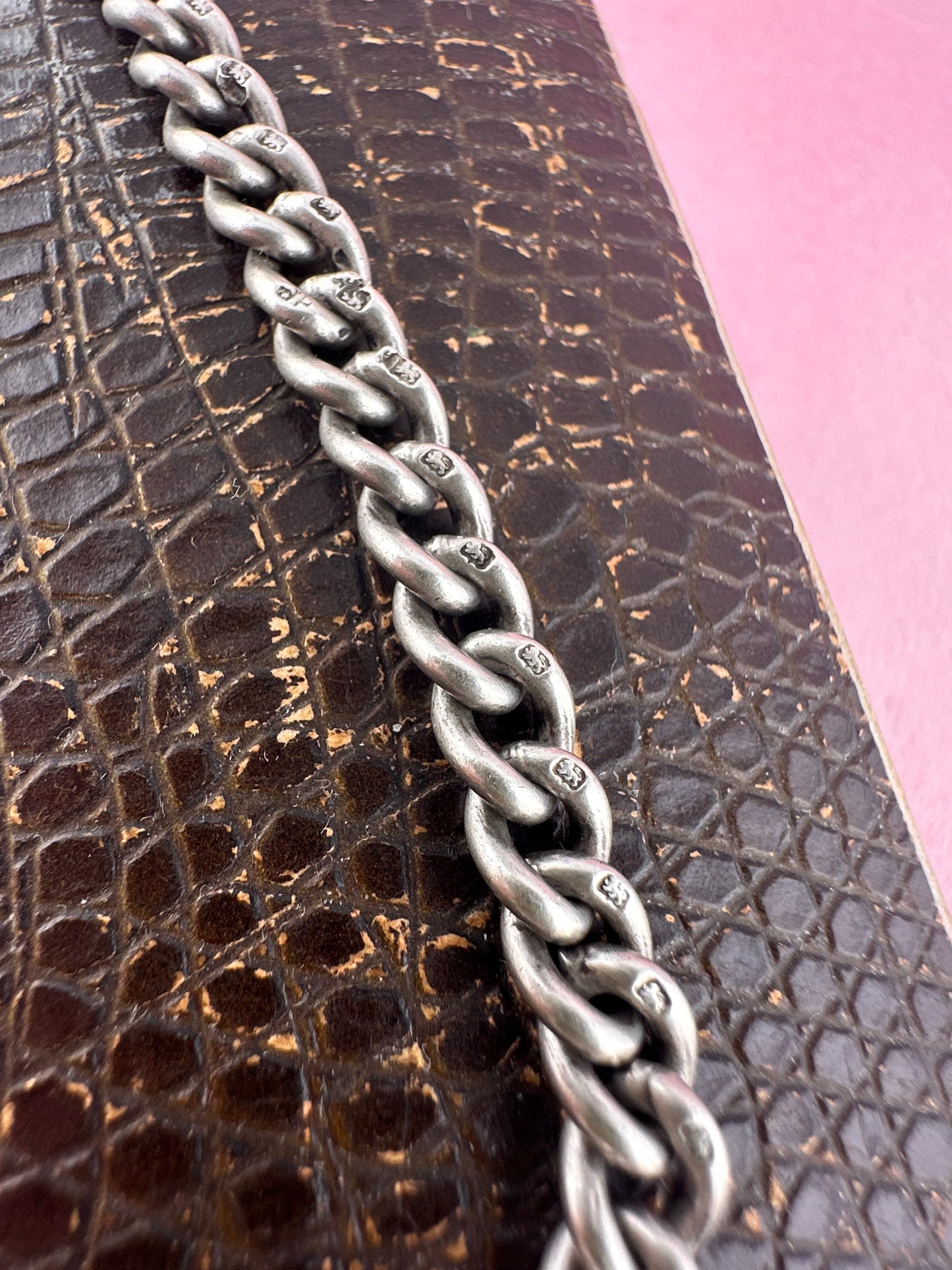 Sterling Curb extender with dog clip