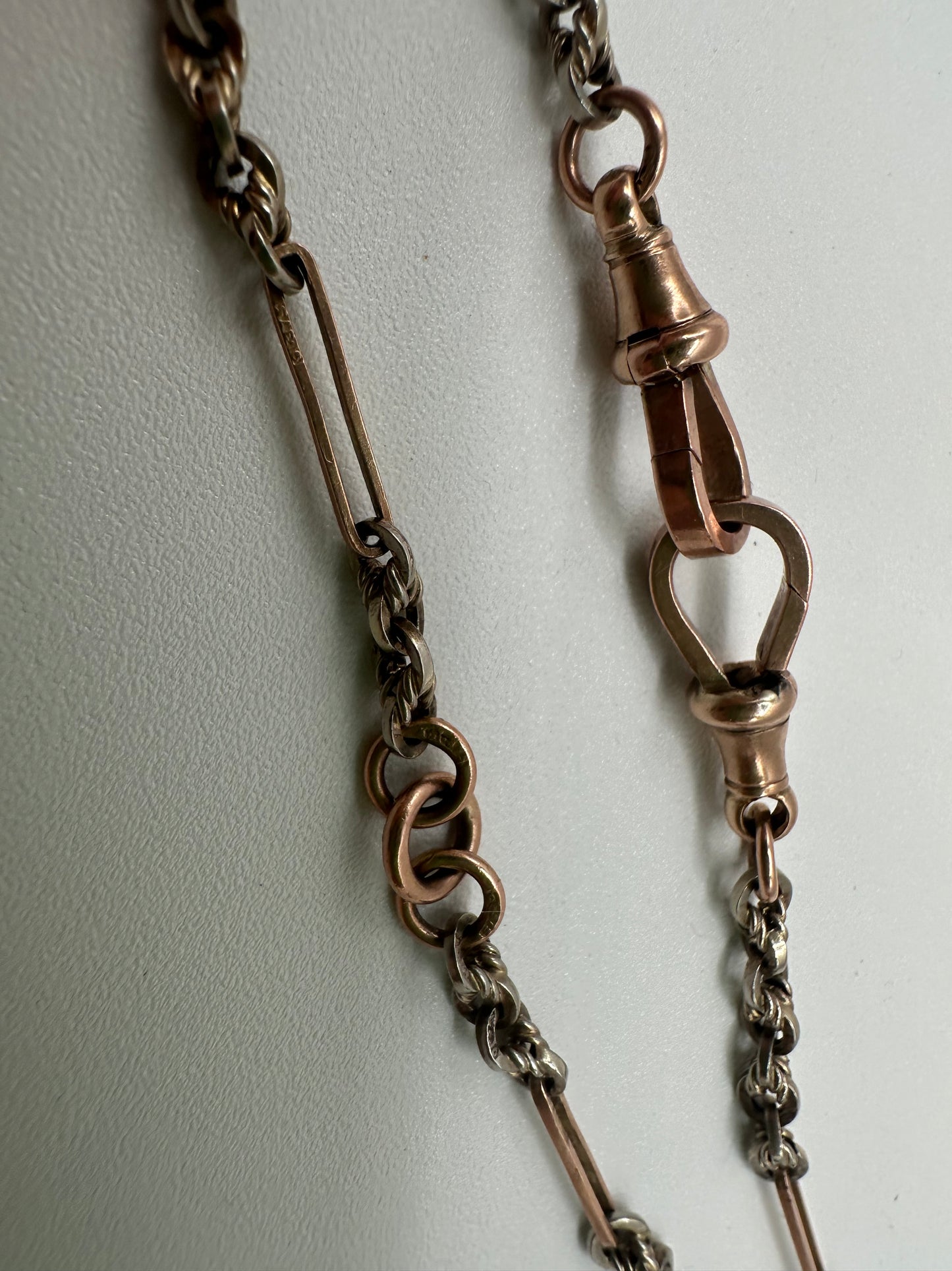 Antique 9ct Rose and White Gold Trombone and Lovers Knot chain