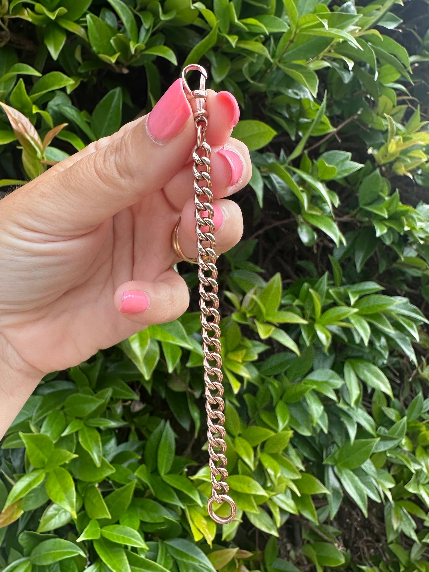 Antique 9ct Rose Curb Extender with Vintage dog clip.