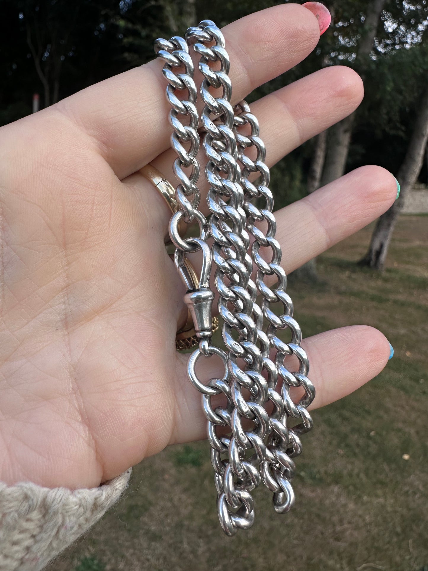 Antique Sterling silver Albert chain with dog clip