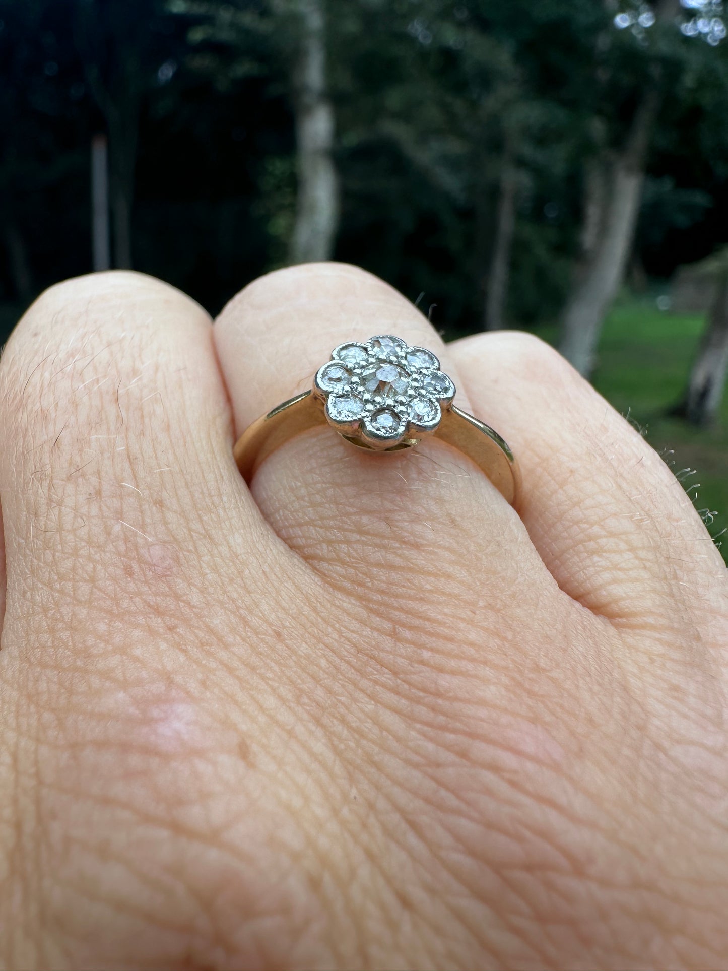 Antique 18ct Gold Diamond Daisy ring