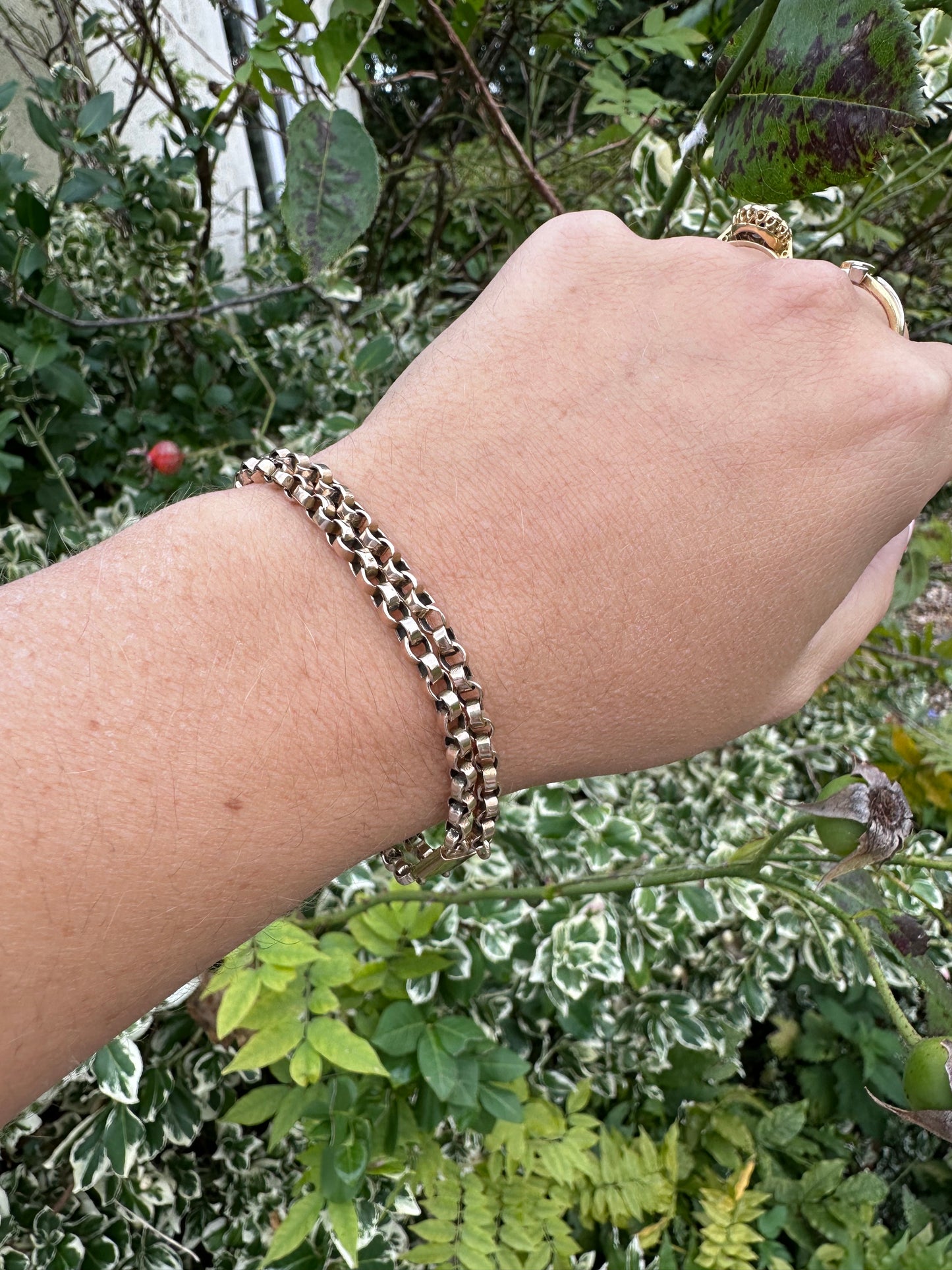 9ct Rose Gold two strand belcher bracelet