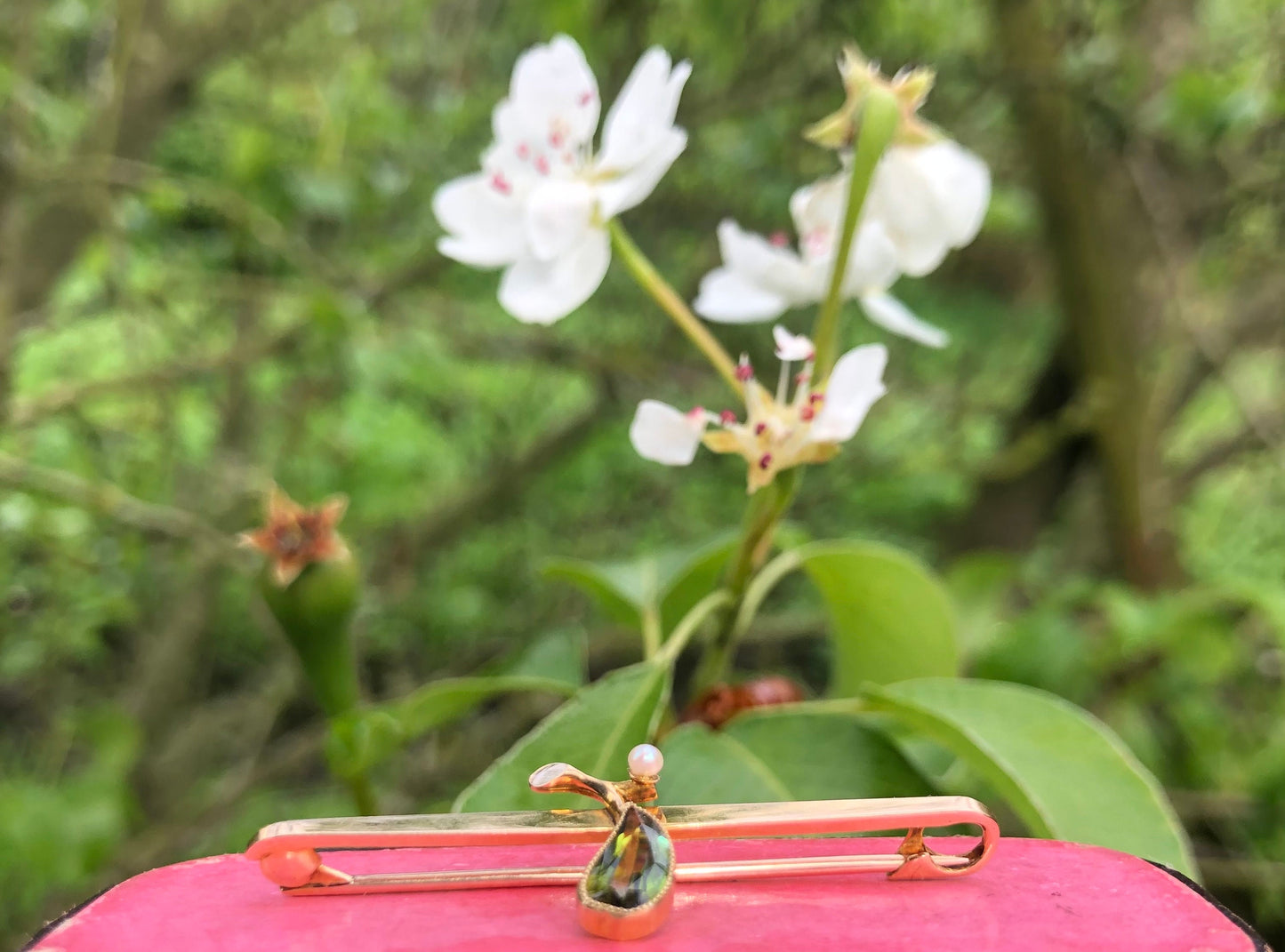 Edwardian 15ct gold peridot & pearl pear bar brooch