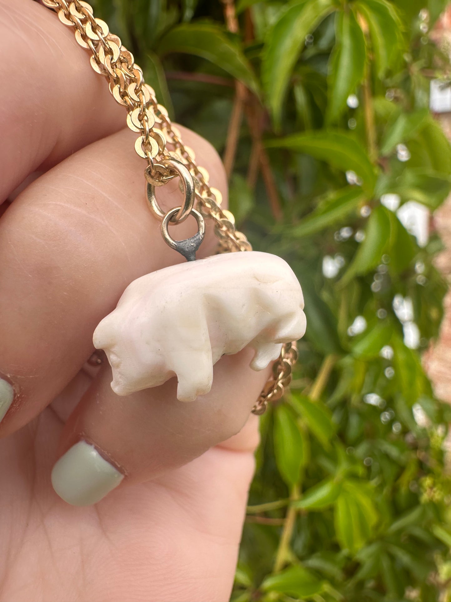 Victorian Angel Skin Coral Lucky pig pendant with 9ct gold bail