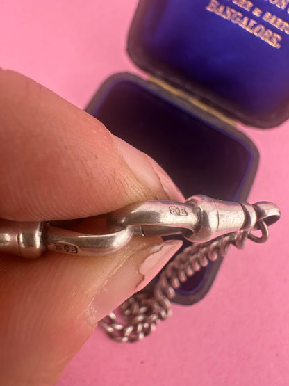Sterling Silver Albert Chain with double dog clips