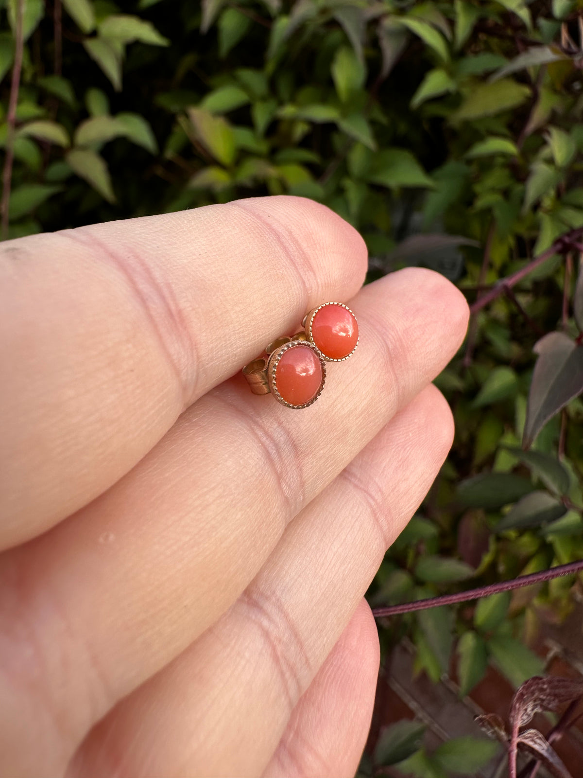 9ct Gold Coral Studs