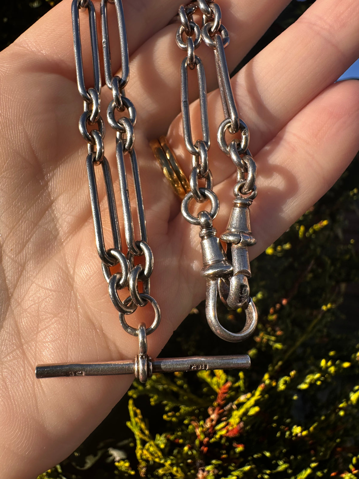 Antique Sterling Silver Trombone Albert chain with double dog clips and fixed T-bar