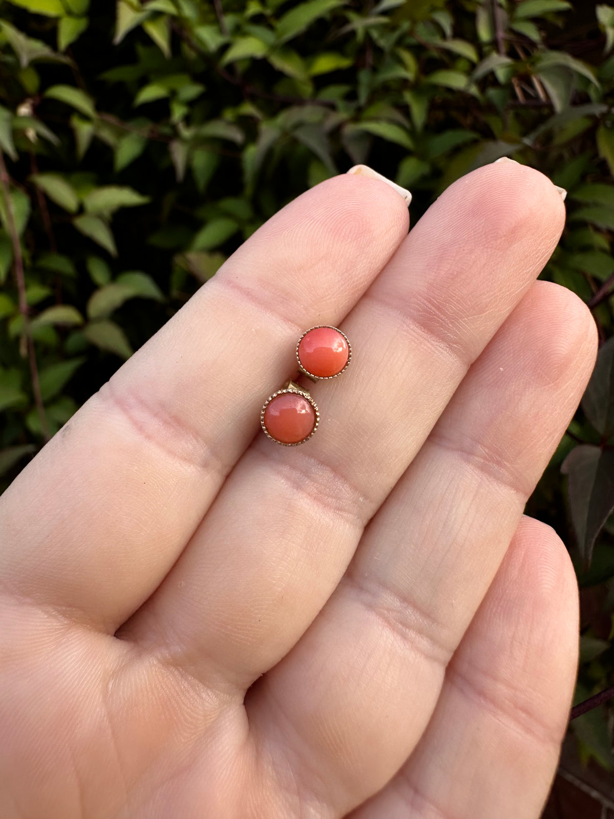 9ct Gold Coral Studs