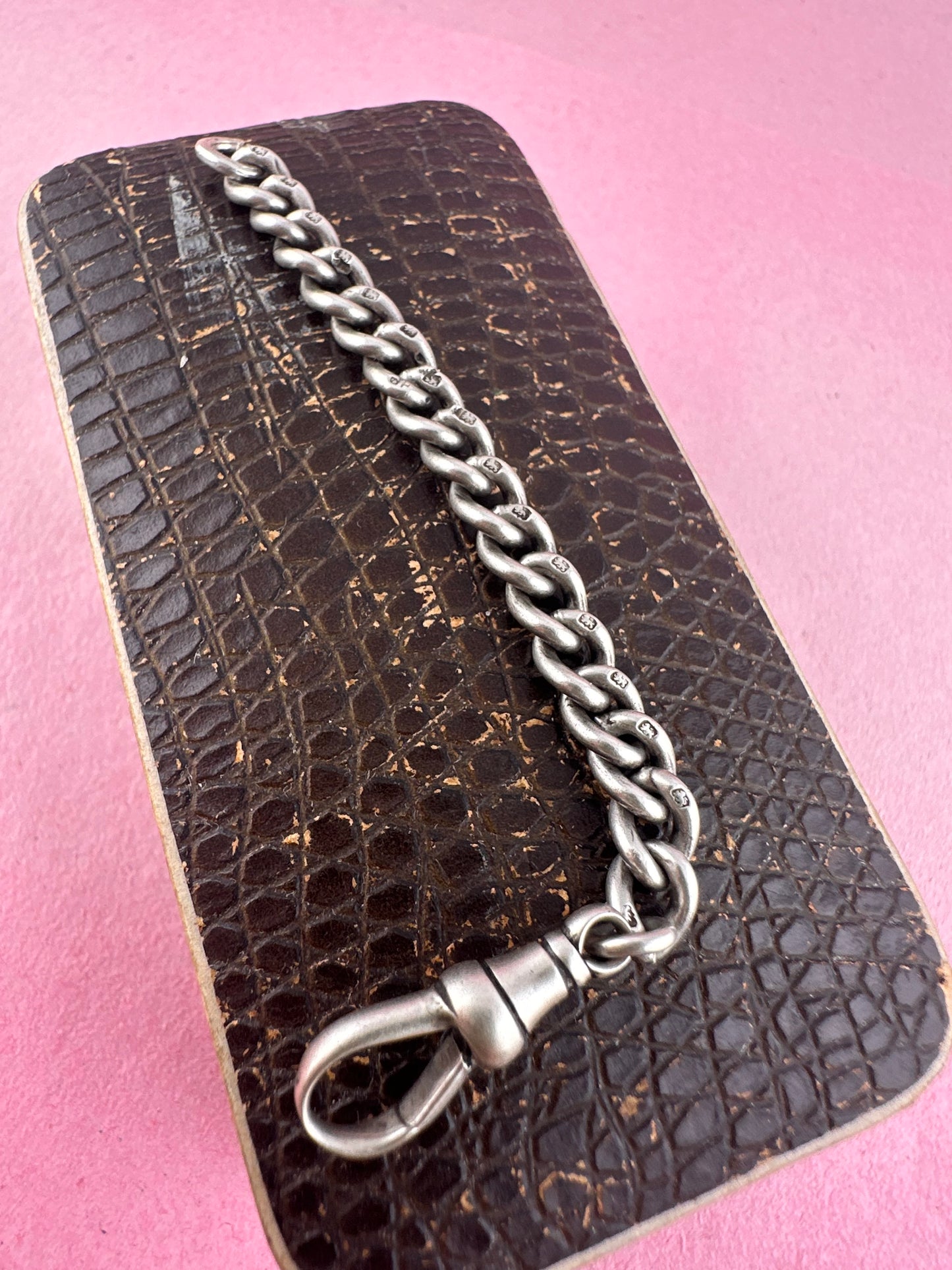 Sterling Curb extender with dog clip