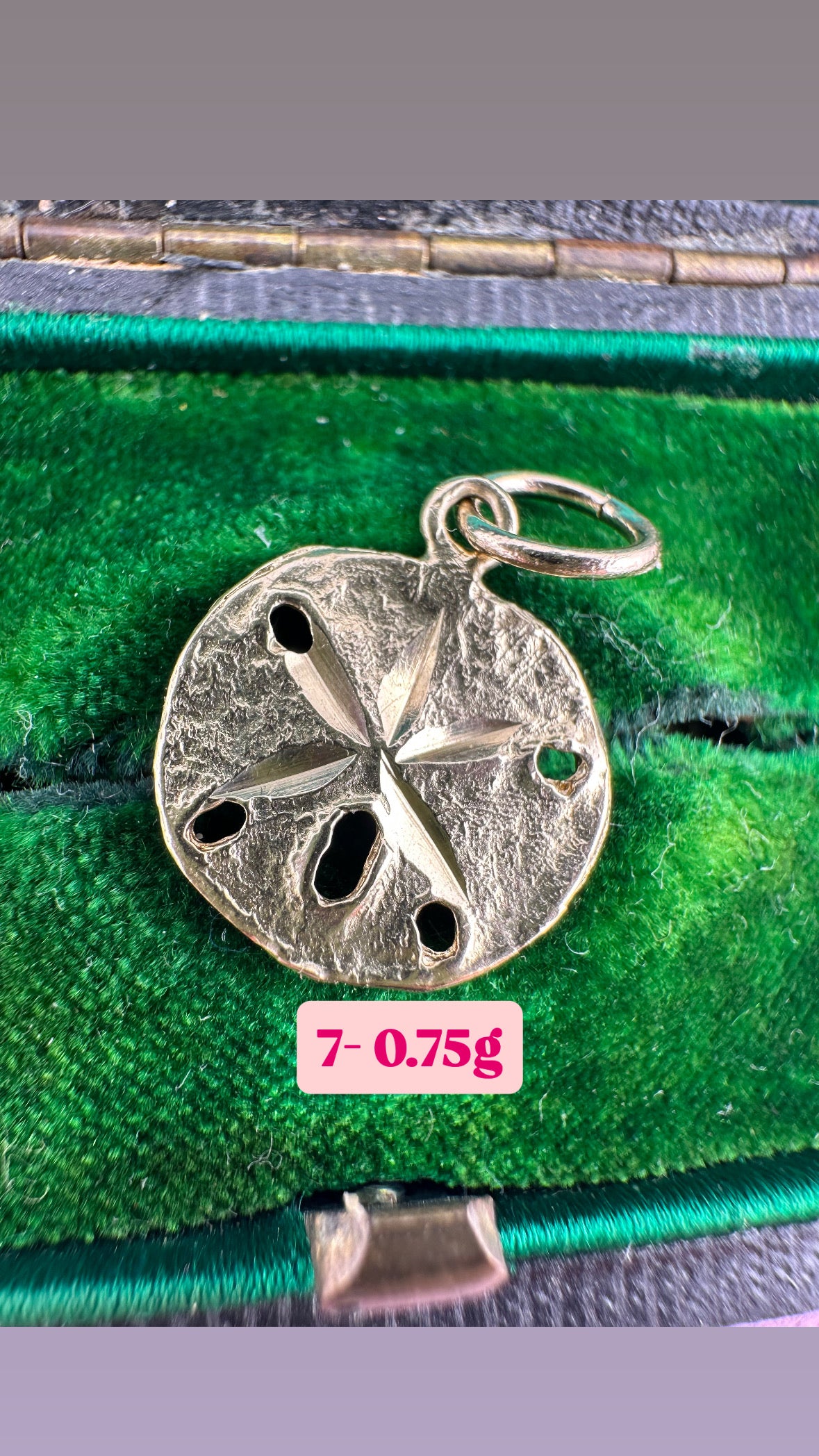 Vintage 14ct Sand Dollar Sea Urchin Charm with 9ct Gold bail.