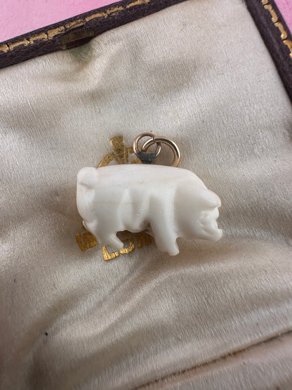 Victorian Angel Skin Coral Lucky pig pendant with 9ct gold bail