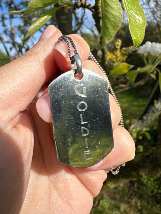 Silver Goldie Nameplate pendant on a curb chain