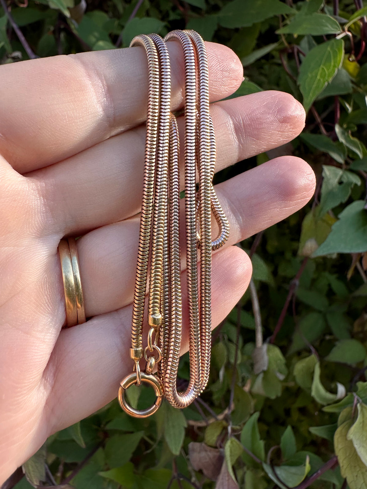 Antique 9ct Rose Gold Snake chain with bolt clasp
