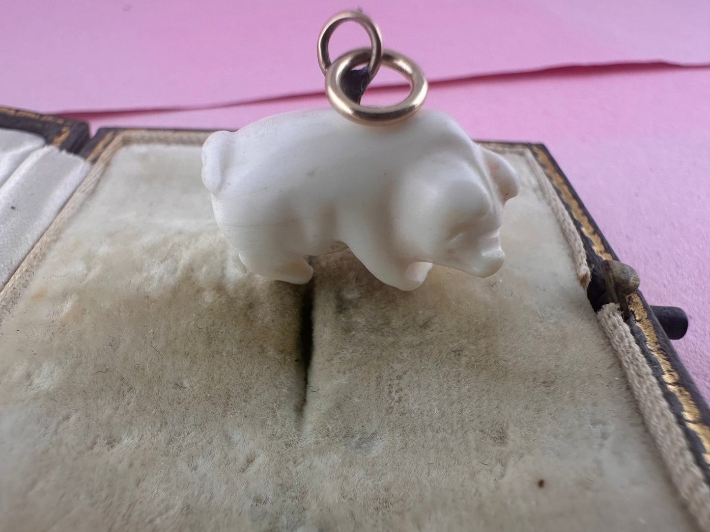 Victorian Angel Skin Coral Lucky pig pendant with 9ct gold bail