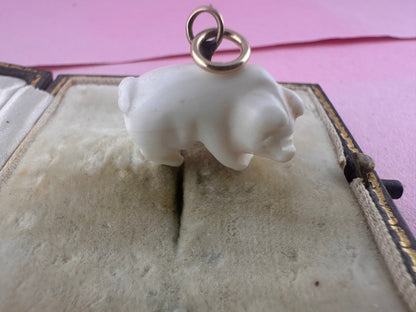Victorian Angel Skin Coral Lucky pig pendant with 9ct gold bail