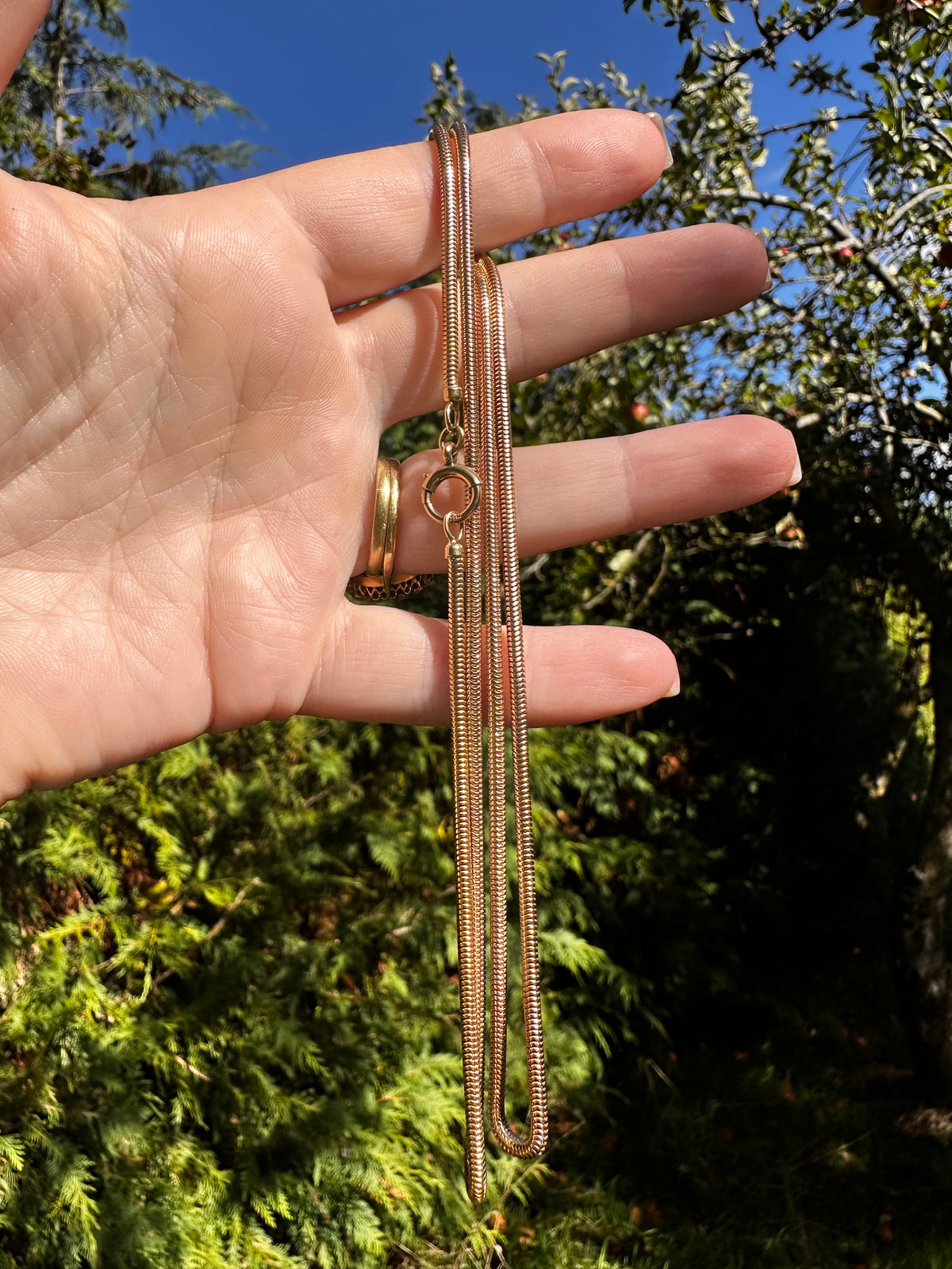 Antique 9ct Rose Gold Snake chain with bolt clasp