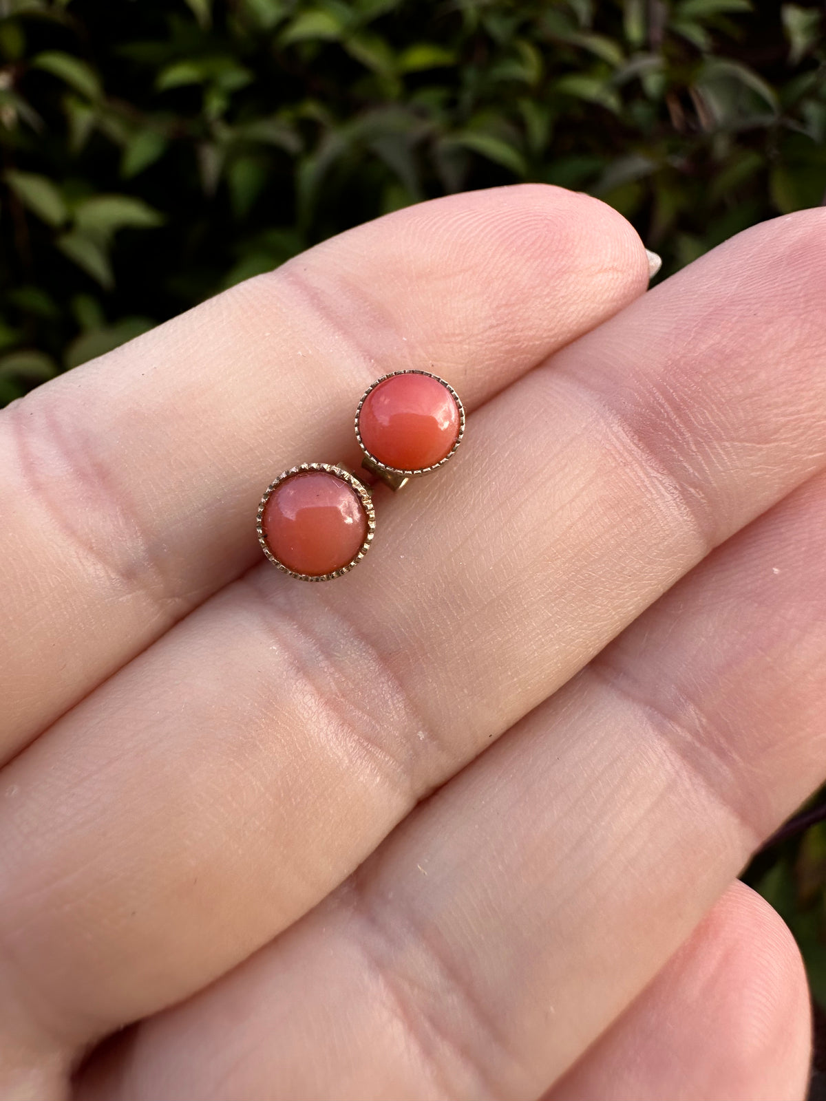 9ct Gold Coral Studs