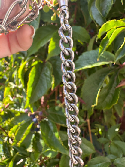 Sterling Curb extender with dog clip