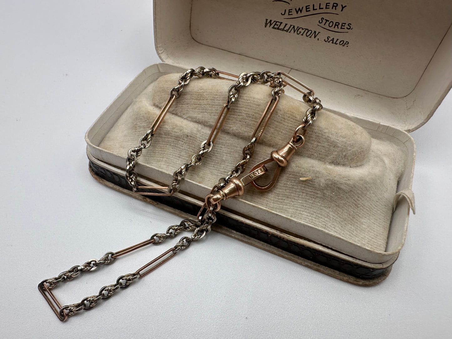 Antique 9ct Rose and White Gold Trombone and Lovers Knot chain