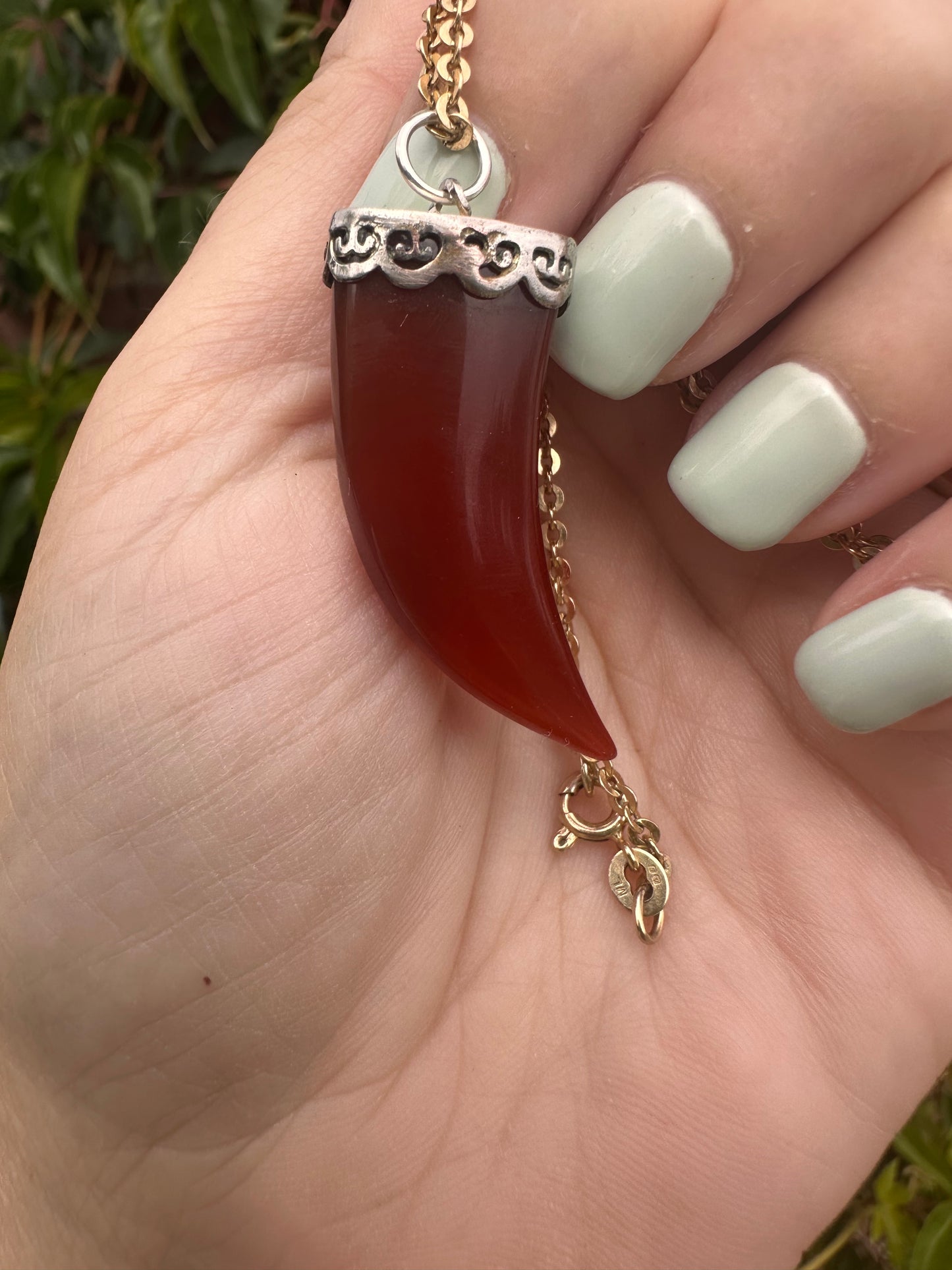 Carnelian Horn Pendant