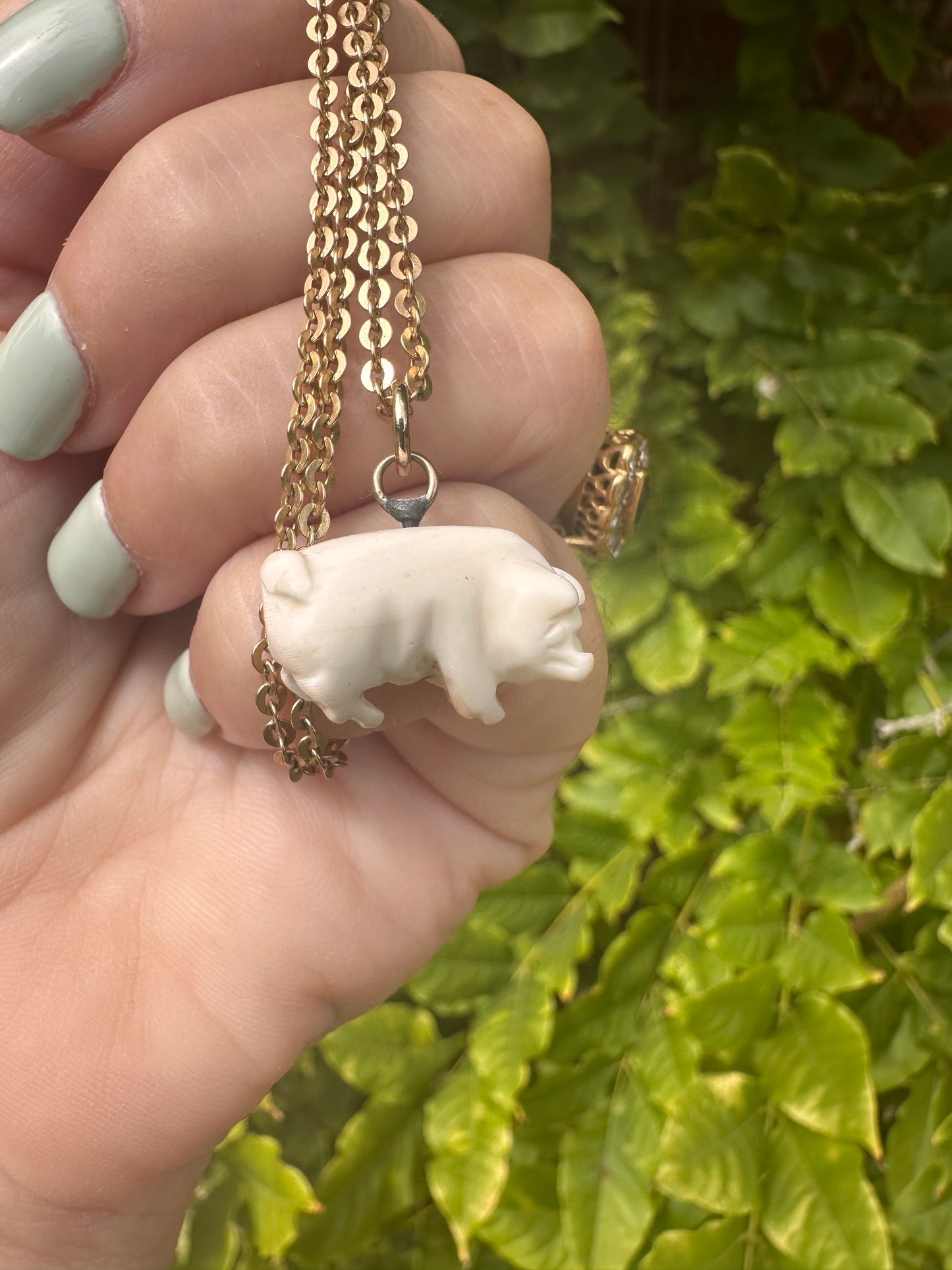 Victorian Angel Skin Coral Lucky pig pendant with 9ct gold bail