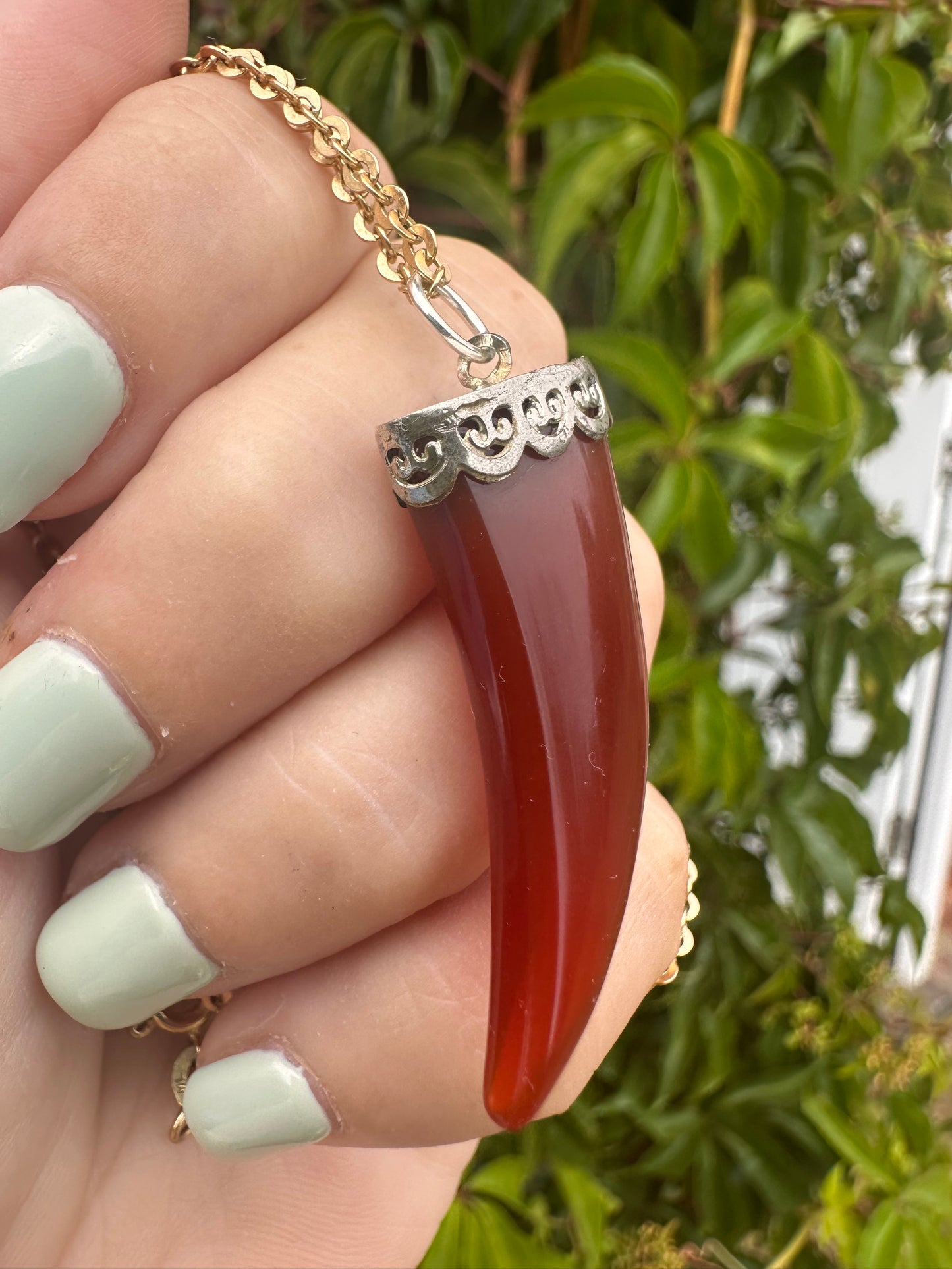 Carnelian Horn Pendant