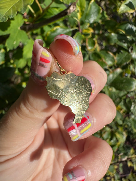 18ct Gold Brazil Charm