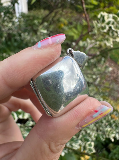 Vintage Sterling silver Shibayama bug locket