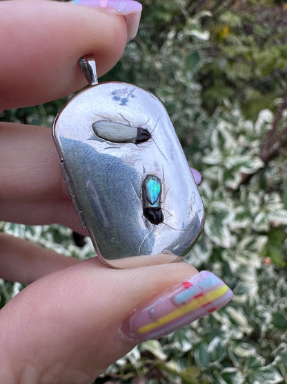 Sterling Silver Shibayama bug locket