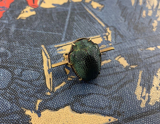 Antique Scarab Beetle Bar Brooch