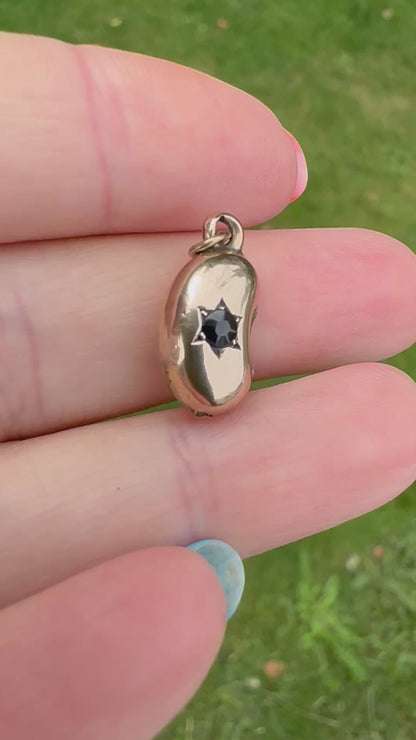 Antique 9ct gold Lucky Bean Charm with star set Iolite