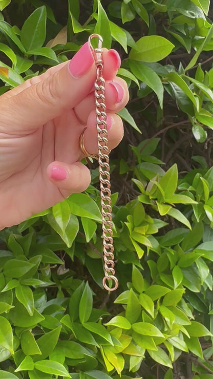 Antique 9ct Rose Curb Extender with Vintage dog clip.