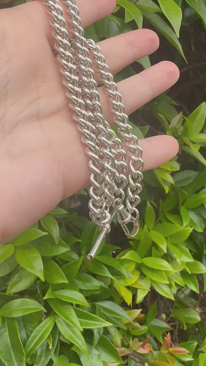 Sterling Silver Albert Chain with dog clip and T-Bar