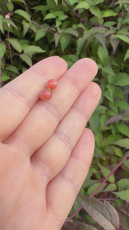 9ct Gold Coral Studs
